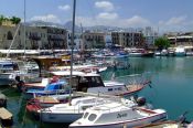 DSCF3684.jpg