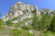 V0010817.jpg