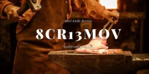 What is 8Cr13MoV?