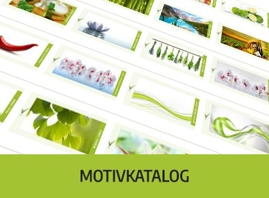 Küchenrückwand Motivkatalog