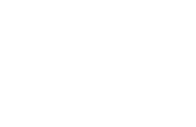 Image with missing alt attribute found on lantium.com