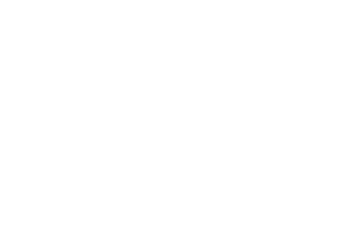 Image with missing alt attribute found on lantium.com