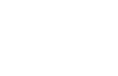 Image with missing alt attribute found on lantium.com