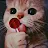Image with missing alt attribute found on ir-android.com