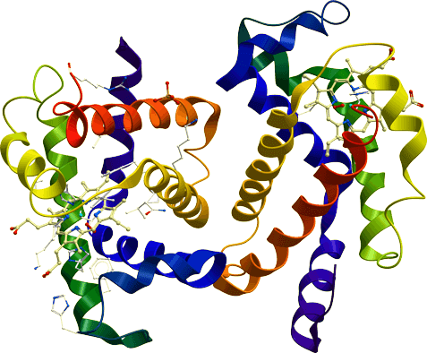 LifeTein Peptide Service