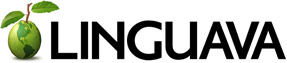 Image with missing alt attribute found on linguava.com