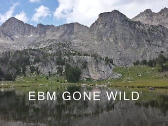 EBM Gone Wild Mountain 340