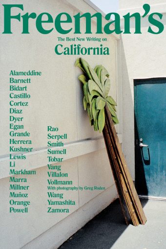 Image with missing alt attribute found on lithub.com