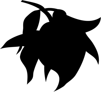 Image with missing alt attribute found on littlebigsnake.com