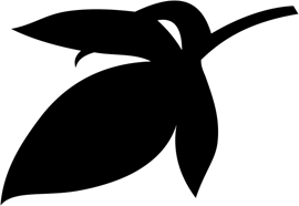Image with missing alt attribute found on littlebigsnake.com