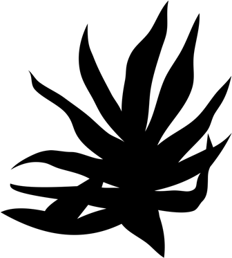 Image with missing alt attribute found on littlebigsnake.com