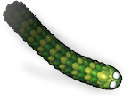 Image with missing alt attribute found on littlebigsnake.com