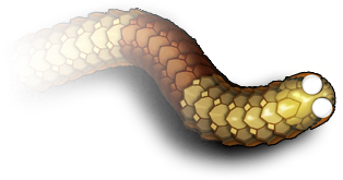 Image with missing alt attribute found on littlebigsnake.com