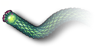Image with missing alt attribute found on littlebigsnake.com