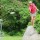 Image with missing alt attribute found on discgolfscene.com