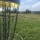 Image with missing alt attribute found on discgolfscene.com