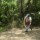 Image with missing alt attribute found on discgolfscene.com