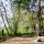 Image with missing alt attribute found on discgolfscene.com