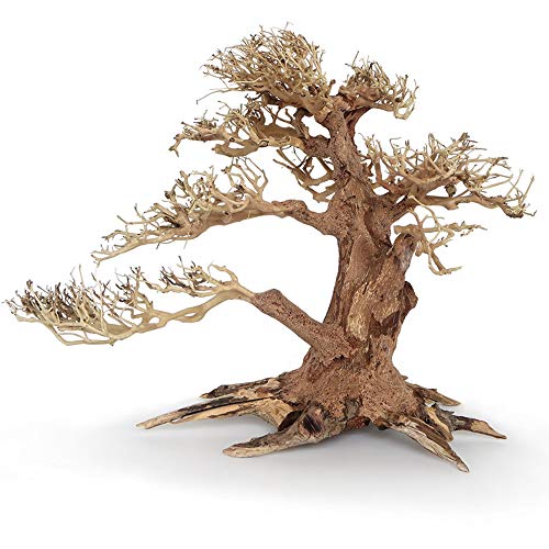 Amtra A8147654 Holz Oriental Wind 4, S