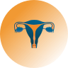 _female genital
