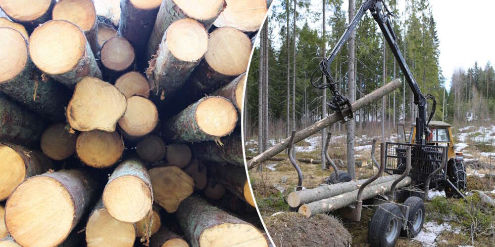 skogsvagn 5 ton