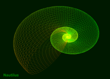 Nautilus