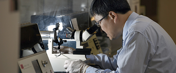 Explore Research