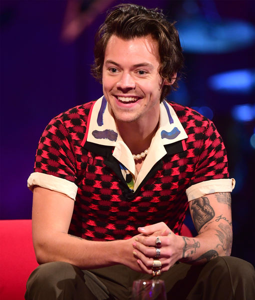 Fans Go Wild Over Eye-Popping Pic of Harry Styles, and His Adorable Manicure