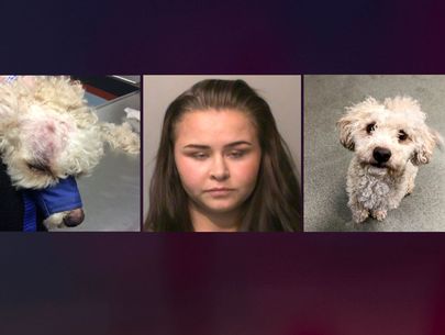 Iowa woman pleads guilty in 'brazen and brutal' beating of dog