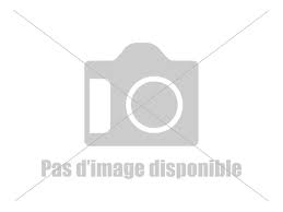 Page Facebook