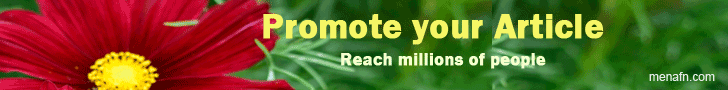 Image with missing alt attribute found on menafn.com