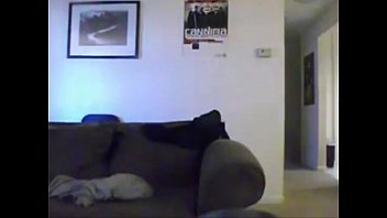 Gordibuena Gabacha
