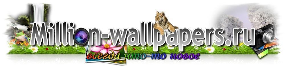 HD обои для ноутбуков и смартфонов с million-wallpapers.ru