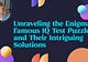 Unraveling the Enigma: Famous IQ Test Puzzles and Their Intriguing Solutions
