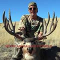 Image with missing alt attribute found on monstermuleys.com