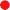Image with missing alt attribute found on mycounter.ua