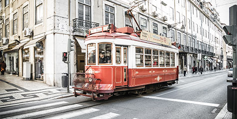 Image with missing alt attribute found on myloview.fr