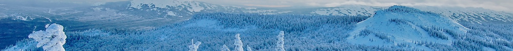 Image with missing alt attribute found on nashural.ru