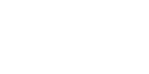 Image with missing alt attribute found on naspa.org