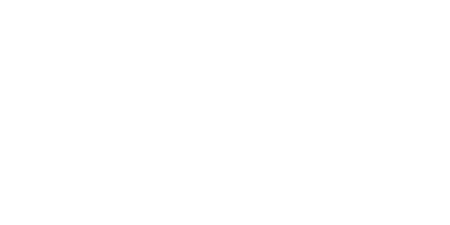 Image with missing alt attribute found on naspa.org