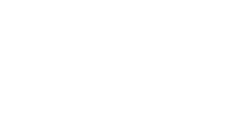 Image with missing alt attribute found on naspa.org