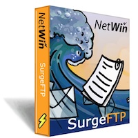 Image with missing alt attribute found on netwinsite.com