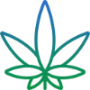 Cannabis