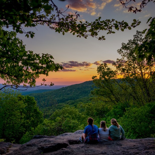 Image with missing alt attribute found on sewanee.edu