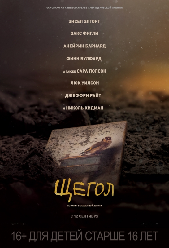Image with missing alt attribute found on next-video.ru