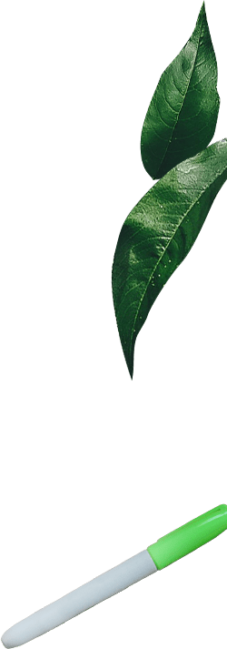 Image with missing alt attribute found on nirvanahq.com