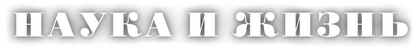 Image with missing alt attribute found on nkj.ru