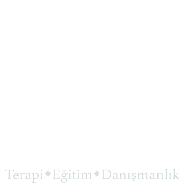 Image with missing alt attribute found on norapsikoloji.com