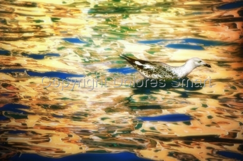 Image with missing alt attribute found on artspan.com