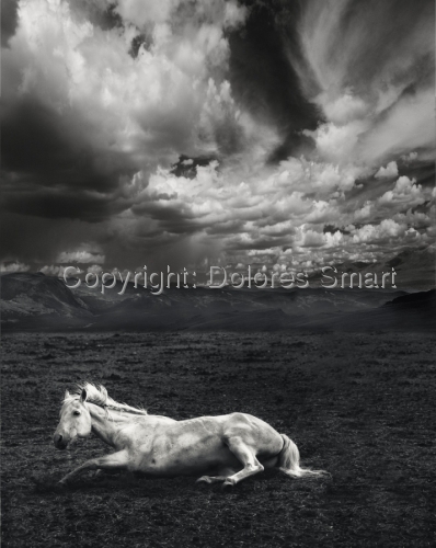 Image with missing alt attribute found on artspan.com